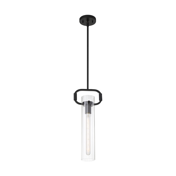 Fixure, Pendant, 1-Light, Incandescent, 60W, 120V, T9, Medium Base, Height: 19.75